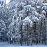 Ski Trip 2007